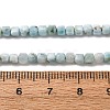 Natural Larimar Beads Strands G-F803-C01-02-5