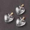 Spray Painted Glass Pendants X-GLAA-N035-016-A03-2