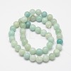 Round Natural Amazonite Bead Strands G-I183-02-12mm-3