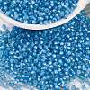 MIYUKI Round Rocailles Beads X-SEED-G008-RR0573-1