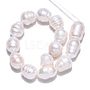 Natural Cultured Freshwater Pearl Beads Strands PEAR-N012-11B-2