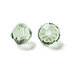 Transparent Glass Beads GGLA-Z004-05S-2
