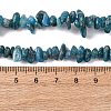 Natural Apatite Beads Strands X-G-F666-01B-02-01-5
