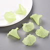 Transparent Acrylic Beads BSF796-C17-8