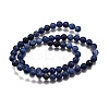 Round Natural Sodalite Beads Strands G-F222-39-10mm-3