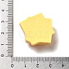 Opaque Resin Imitation Food Decoden Cabochons X-CRES-H001-03H-3