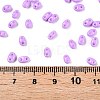 Baking Paint Glass Seed Beads SEED-T006-03K-4