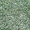FGB 11/0 Grade A Glass Seed Beads X-SEED-S030-1217-2
