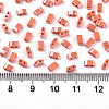 FGB 2-Hole Glass Seed Beads SEED-S031-M-SH130-2