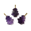 Natural Amethyst Pendants G-A203-01I-1