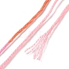 10 Skeins 6-Ply Polyester Embroidery Floss OCOR-K006-A31-3