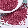 MIYUKI Delica Beads X-SEED-J020-DB0362-1