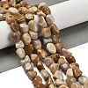 Natural Fossil Coral Beads Strands G-P497-01E-36-2