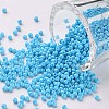 11/0 Grade A Round Glass Seed Beads SEED-N001-A-1018-1