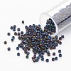 TOHO Japan Seed Beads SEED-G001-82-1