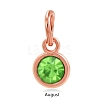 Rose Gold Plated Alloy Glass Rhinestone Charms PALLOY-TAC0016-A08-RG-1