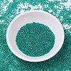 MIYUKI Delica Beads SEED-J020-DB0918-2