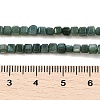 Natural Freshwater Shell Dyed Beads Strands SHEL-R100-11A-05-4