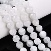 Natural Rainbow Moonstone Beads Strands G-S345-8mm-36-1