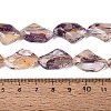 Handmade Lampwork Beads Strands LA-N046-02M-4