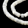 Natural Trochus Shell Beads Strands BSHE-E030-09B-01-4