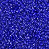 Baking Paint Glass Seed Beads SEED-T006-03-01-2