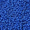 Baking Paint Glass Seed Beads SEED-P006-03A-25-3