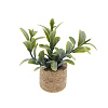Plastic Potted Plant Mini Model PW-WGD7CCF-05-1