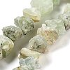 Raw Rough Natural Prehnite Beads Strands G-P528-A05-01-1