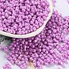 Glass Seed Beads SEED-L011-04A-05-1