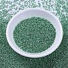 MIYUKI Delica Beads SEED-MY11-DB0426-2
