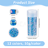 120G 12 Colors Glass Seed Beads SEED-DC0001-24-2