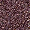 MIYUKI Delica Beads SEED-X0054-DB1013-3