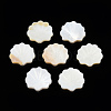 Natural Freshwater Shell Beads X-SHEL-T007-02-3