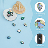 10Pcs Abalone Shell/Paua Shell Beads SSHEL-FI0001-01-5