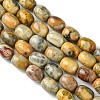 Barrel Shaped Gemstone Natural Crazy Lace Agate Beads Strands X-G-S114-08-3