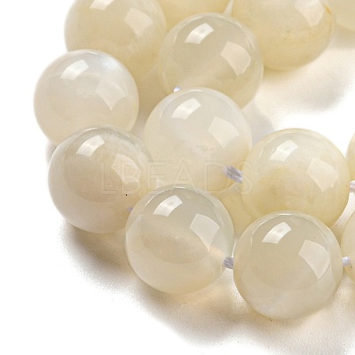 Natural White Moonstone Beads Strands LS-G-F306-05AB-10mm-01-1