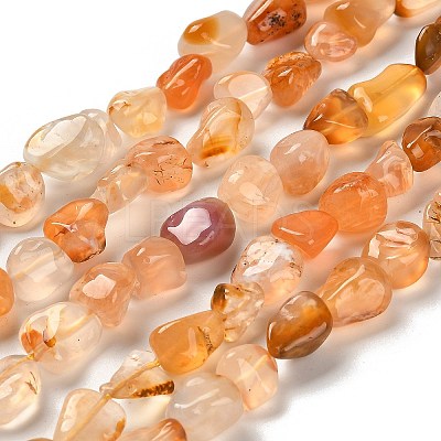 Natural Carnelian Beads Strands G-P497-01E-83-1
