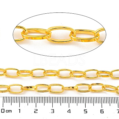 Iron Paperclip Chains CH-R025-10x5mm-G-1