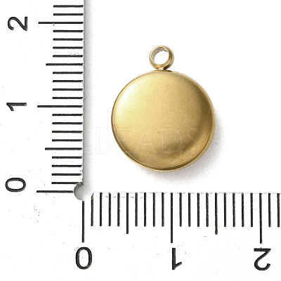 304 Stainless Steel Acrylic Pendants STAS-M091-02A-G-1