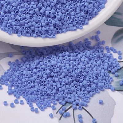 MIYUKI Delica Beads X-SEED-J020-DB0760-1