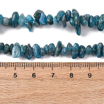 Natural Apatite Beads Strands X-G-F666-01B-02-01-1