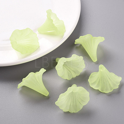Transparent Acrylic Beads BSF796-C17-1