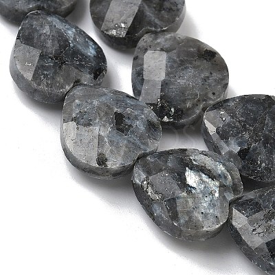 Natural Larvikite Beads Strands G-A309-A18-01-1