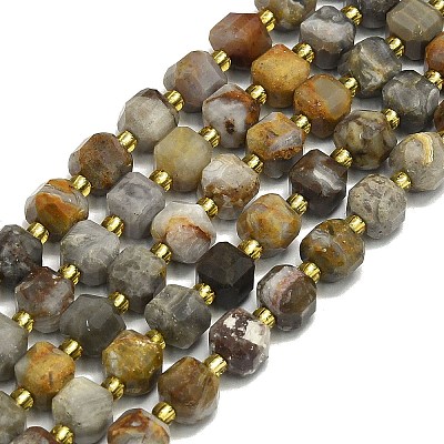 Natural Gobi Agate Beads Strand G-I376-D02-01-1