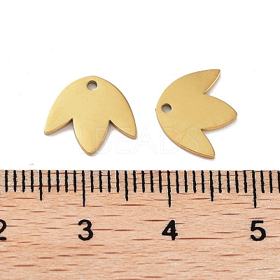 304 Stainless Steel Charms STAS-R226-03G-1