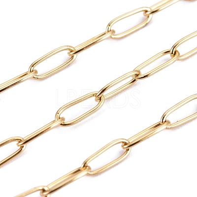 3.28 Feet Ion Plating(IP) 304 Stainless Steel Paperclip Chains X-CHS-F010-01B-G-01-1