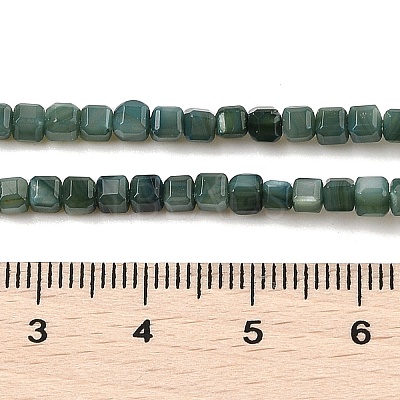 Natural Freshwater Shell Dyed Beads Strands SHEL-R100-11A-05-1