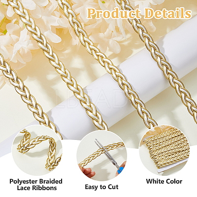 Polyester Braided Lace Ribbons OCOR-WH0105-181B-1