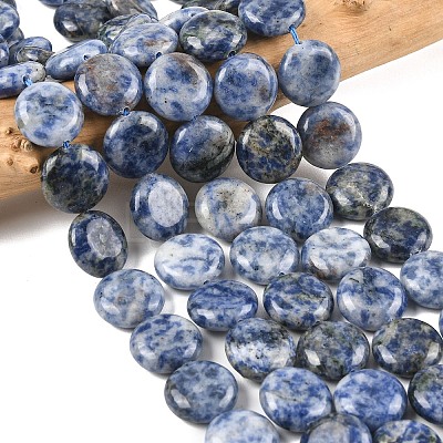 Natural Blue Spot Jasper Beads Strands G-L648-B08-15mm-1
